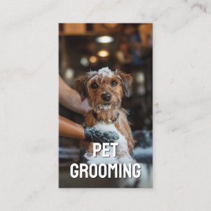 Huisdier Grooming Salon Care Boutique Terrier Port Visitekaartje
