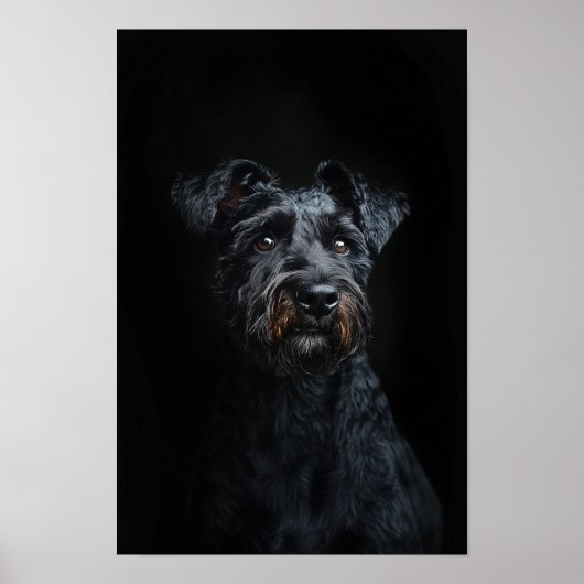 Huisdier Grooming Salon Kerry Blue Terrier Portret Poster (Voorkant)