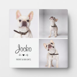 Huisdier-herdenking Aandenken aan Verlies van Huis Fotoplaat