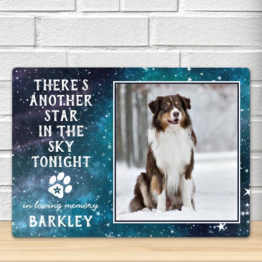 Huisdier Herdenking Huisdier Verlies Aandenken Hon Fotoplaat