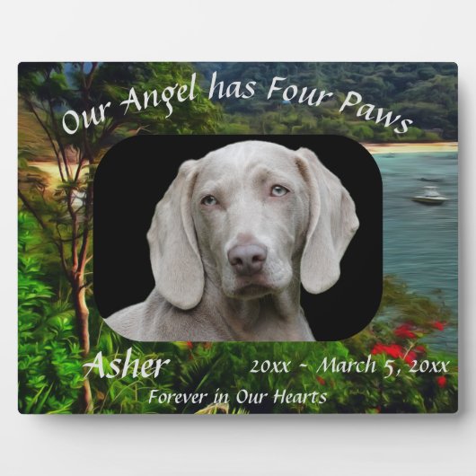 Huisdier-herdenkingsengel met vier poten 0828 fotoplaat (Voorkant)