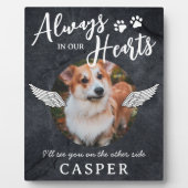 Huisdier-herdenkingsengel-vleugels fotobord fotoplaat (Voorkant)