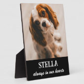 Huisdier-herdenkingsplaat afbeelding fotoplaat (Zijkant)