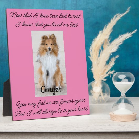 Huisdier-herdenkingsplaatje met standaard fotoplaat (Zijkant)