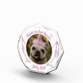 Huisdier Herinnering Foto Naam Datum Herdenkingsge (Rechts)