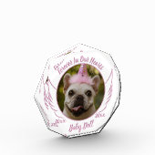 Huisdier Herinnering Foto Naam Datum Herdenkingsge (Links)