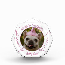 Huisdier Herinnering Foto Naam Datum Herdenkingsge