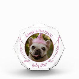 Huisdier Herinnering Foto Naam Datum Herdenkingsge