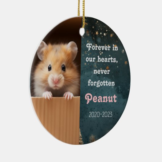 Huisdier Herinnering Kerst Keramische Ornament Ham (Rechts)