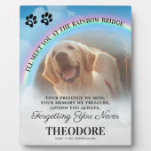 Huisdier-herinnering Rainbow Bridge-foto Fotoplaat (Voorkant)