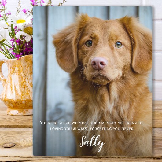 Huisdier Herinnerings Cadeau - Verlies van Huisdie Fotoplaat