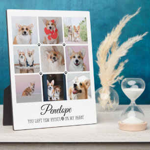 Huisdier-herinneringsgeschenk Verlies van huisdier Fotoplaat