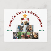 Huisdier Hond Eerste Kerstboom, Gepersonaliseerd Feestdagenkaart (Voorkant)