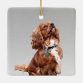 Huisdier Hond Eerste Kerstfoto's Boom Ornament (Achterkant)