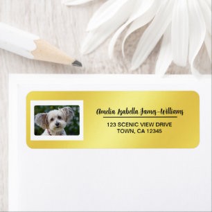 Huisdier Hond Foto Elegant Modern Retour Adres Gou Etiket