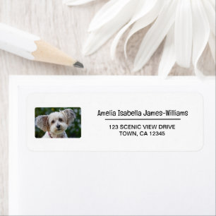 Huisdier Hond Foto Elegant Modern Retour Adres Lab Etiket