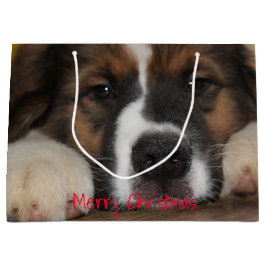 Huisdier hond foto groot cadeauzakje