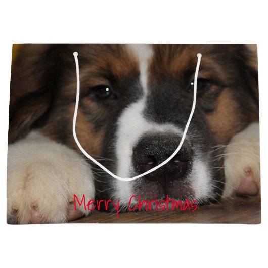 Huisdier hond foto groot cadeauzakje (Voorkant)