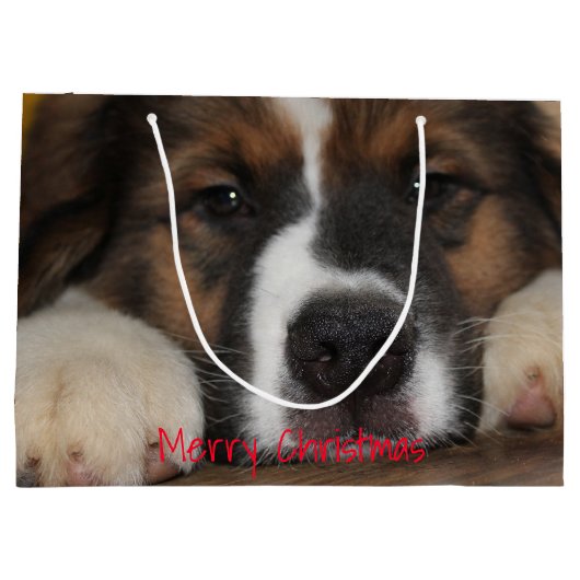 Huisdier hond foto groot cadeauzakje (Achterkant)