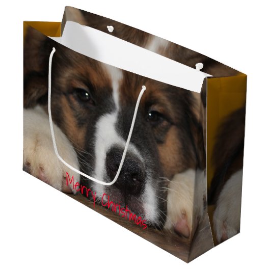 Huisdier hond foto groot cadeauzakje (Voorkant Gekanteld)