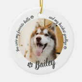 Huisdier Hond Kat Aangepaste Foto Herinnering Keramisch Ornament (Voorkant)
