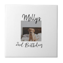 Huisdier hond kat dier verjaardag foto modern eenv tegeltje