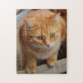 Huisdier Hond Kat Foto Sjabloon Fun Personaliseer Legpuzzel (Verticaal)