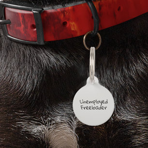 Huisdier Hond Kat Grappig Humor Werkloos Freeloade Huisdierpenning