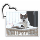 Huisdier Hond Kat Hart Aangepaste Foto Sjabloon Sticker (Voorkant)