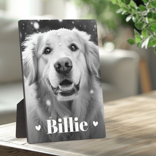 Huisdier hond kat naam harten fotoplaat