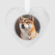 Huisdier Hond Kerstmis Zilver