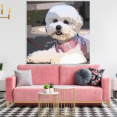 Huisdier hond, puppy, lopen canvas afdruk (Insitu (Woonkamer))