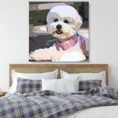 Huisdier hond, puppy, lopen canvas afdruk (Insitu (Slaapkamer))