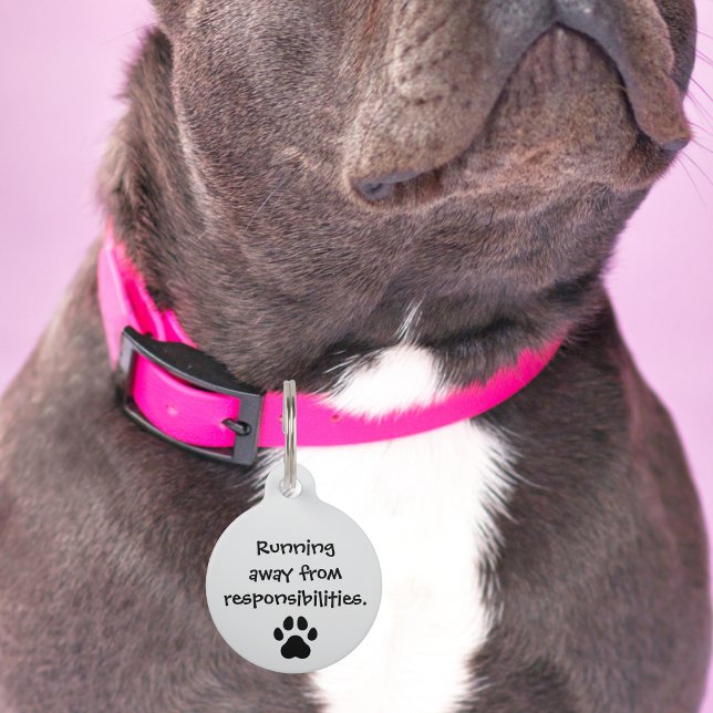 Huisdier Hond Weglopen van verantwoordelijkheden G Huisdierpenning (Creator heeft geüpload)