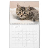 Huisdier Kat Custom Foto's Modern Schattige 12 Maa Kalender (Feb 2026)