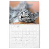 Huisdier Kat Custom Foto's Modern Schattige 12 Maa Kalender (Jan 2026)