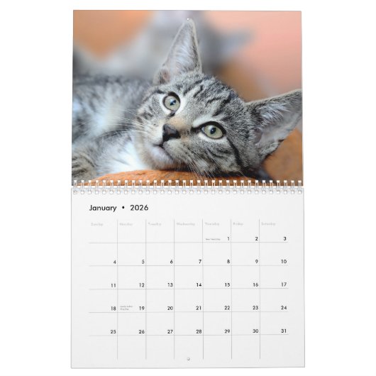 Huisdier Kat Custom Foto's Modern Schattige 12 Maa Kalender (Jan 2026)