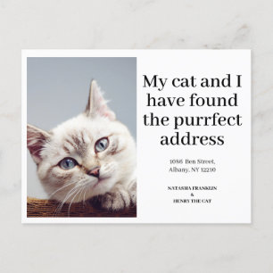 Huisdier Kat Foto Nieuw Adres Ik Ben Verhuisd Mode Aankondigingskaart