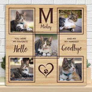 Huisdier Kat Herdenking Herinnering Foto Collage Fotoplaat