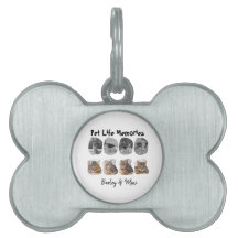 Huisdier Levensherinneringen 8 Foto Collage Herden