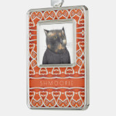 HUISDIER LIEFDE Ingelijst ornament + tekst / Gebru (Links)