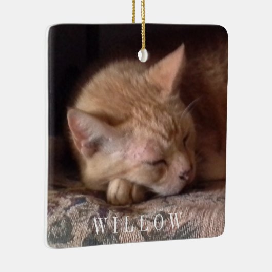 HUISDIER LIEFDE Keramisch Vierkant Ornament (Rechts)