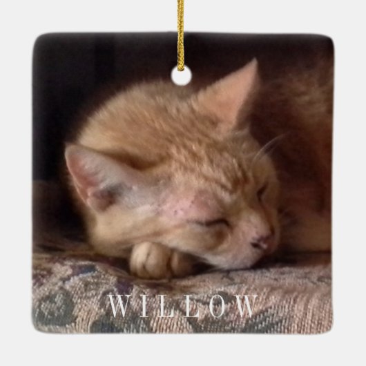 HUISDIER LIEFDE Keramisch Vierkant Ornament (Achterkant)