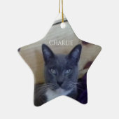 HUISDIER LIEFDE Keramische Star Ornament (Rechts)