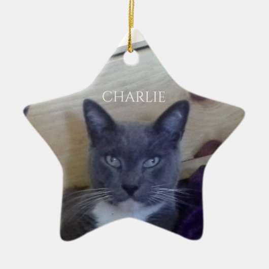 HUISDIER LIEFDE Keramische Star Ornament (Voorkant)