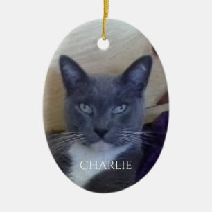 HUISDIER LIEFDE Ovaal Ceramisch Ornament