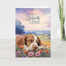 Huisdier medeleven Brittany Spaniel Hond Wilde blo