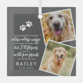 Huisdier Memorial Modern Eenvoudig Chique Gedicht  Glas Ornament (Voorkant)