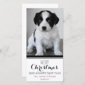Huisdier of Puppy Zwart Wit Vakantie Kerstmis Feestdagenkaart (Voorkant / Achterkant)