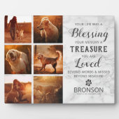 Huisdier Overleden - Fotocollage ter nagedachtenis Fotoplaat (Voorkant)